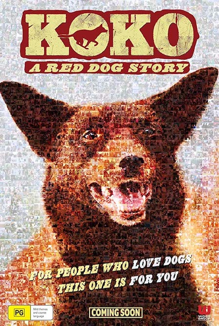 kokoareddogstory